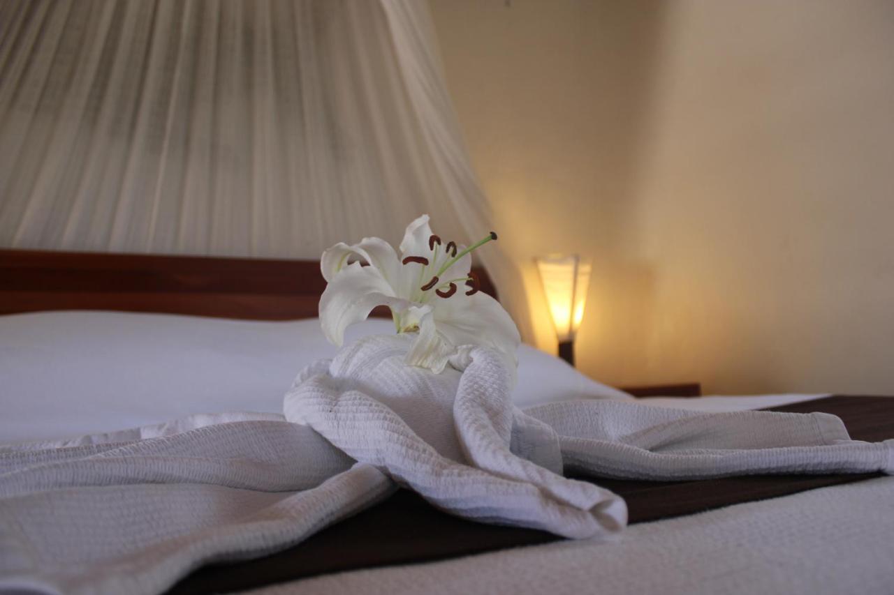 Hotel Piedra Escondida 툴룸 외부 사진